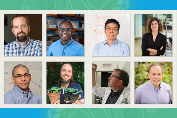 The 2023 J-WAFS Grand Challenge research team: (top row, left to right) Matt Shoulders, Bryan Bryson, Bin Zhang, and Mary Gehring; (bottom row, left to right) Ahmed Badran, Robert Wilson, Spencer Whitney, and Stephen Long