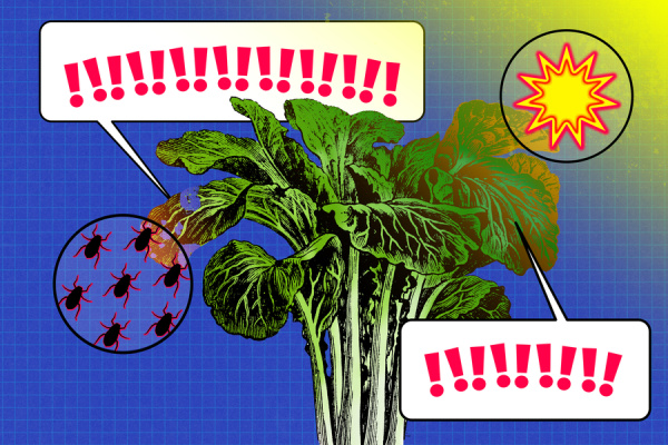 A plant with speech bubbles indicating stress from bright light and an inset of insects, symbolizing the detection of plant distress signals.