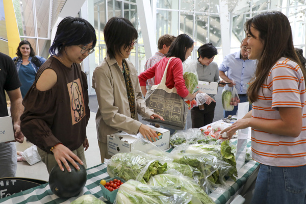 Two people buying various produce items from a seller