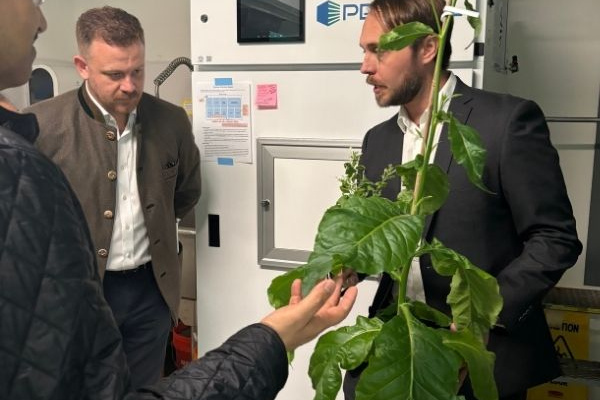 Robbie Wison holds a plant, showing it to two other people in a lab