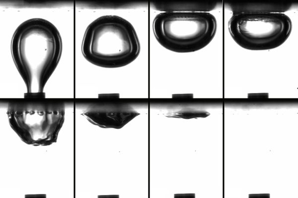 This collage of video stills shows a bubble hitting the surface membrane (top right) and then destroyed in about 8 milliseconds (bottom row).