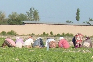 Women sitting in field
