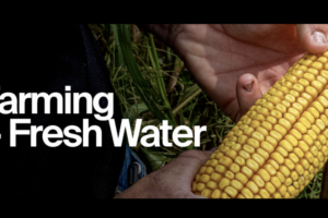 A hand holding corn, with the words "Farming and fresh water"