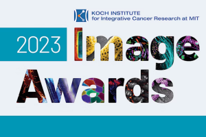 Event Banner - 2023 Image Awards