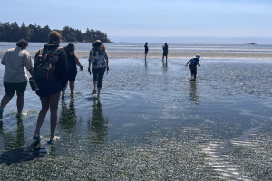 People walk in shallow water at the beach