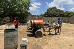 man standing in dry climate by donkey pulling water on cart