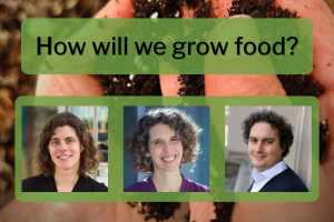 panel title: how will we grow food, headshots of J-WAFS PI speakers: Gehring, McRose, Marelli 