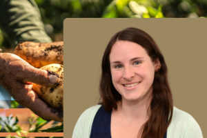 J-WAFS PI Morris headshot bottom right, hands holding potatoes green background