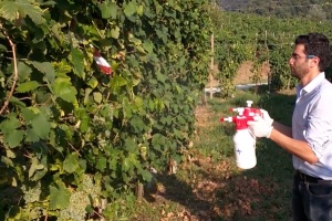 Man spraying crops with two spray bottles