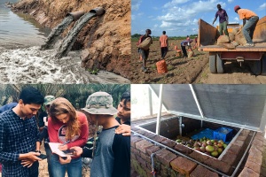 Four images edited together: water leaving pipes into the ocean, men standing on a truck, researchers around notebook, and mangos in cooling chamber