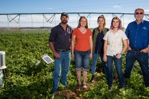 Five adults standing in potato field sprayer in back sensors in the field