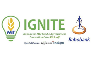 MIT Ignite Logo