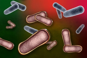 a coating for microbes that could make it easier to deploy them to treat gastrointestinal disease
