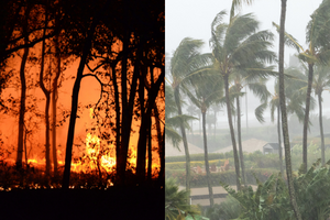 Image of a forest fire on the left and an image of palm trees blowing around in a tropical storm on the right