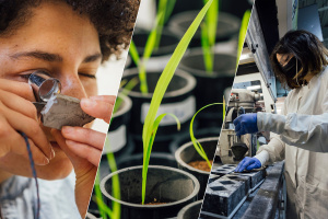 Collage of thee photos: a person holding a microscope up to their eye to view a white object that they are holding, plants sitting in pots, and a woman working in a lab with black objects 