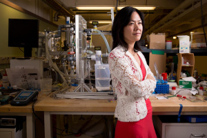 Headshot of Evelyn Wang in lab
