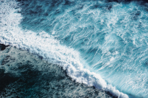 The ocean waves