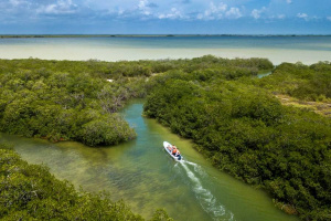 Aerial view of boat with people in a tropical wetland