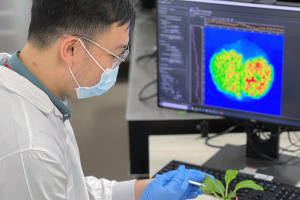 a Man working in a lab touching a plant 
