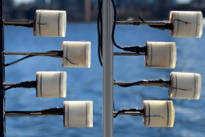 Eight piezoelectric transducers attached to poles, water in the background.