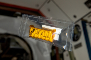 A small plastic pack labeled “Stable #1 inside” with capsules inside floats on the International Space Station.