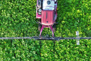Aerial view of a pink tractor spraying crops in a lush green field.
