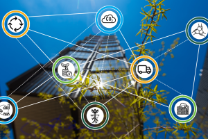 A graphic illustrating the MCSC's eight impact pathways.