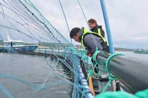 Two people stand on the edge of a net pen, looking in, at a salmon farm on an overacast day.