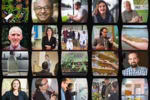 20 small, square images of projects and people featured in the article. 