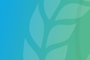 Generic Blue and Green Logo