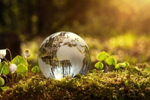 Globe made out of glass on a bed of moss and growing plants