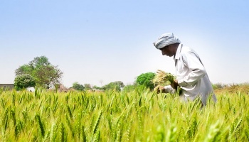 A smallholder farmer tends to his fields