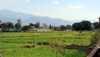 Photo of farm in India