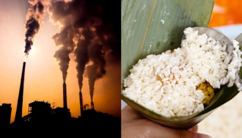 Left half depicts factory smoke pollutions and right half depicts rice being scooped into leaf 