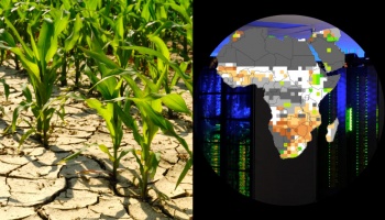 Left half depicts crops growing and right half depicts digitized image of Africa