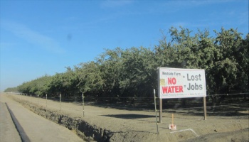 Sign on side of road reading "No Water=Lost Jobs"