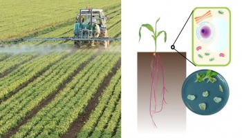 Left side of image depicts tractor spraying fertilizer on crops and the right side is a cartoon depiction of a plant cell