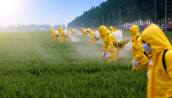 Spraying pesticide in hazmat suits