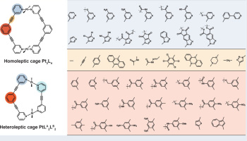Schematic image of chemical organic molecule building blocks