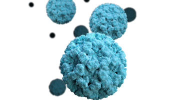  three-dimensional, graphical representation of a number of norovirus virions in blue green, set against a white background.