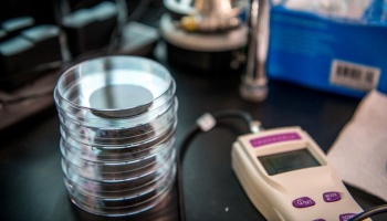 Stack of petri dishes and other tools on lab bench