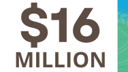 Sixteen million dollars infographic