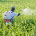 A person in a protective suit spraying agrochemicals in a field. 