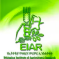 EIAR logo