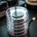 Stack of petri dishes