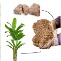 Flow chart of minerals being used to create fertilizer to grow plants